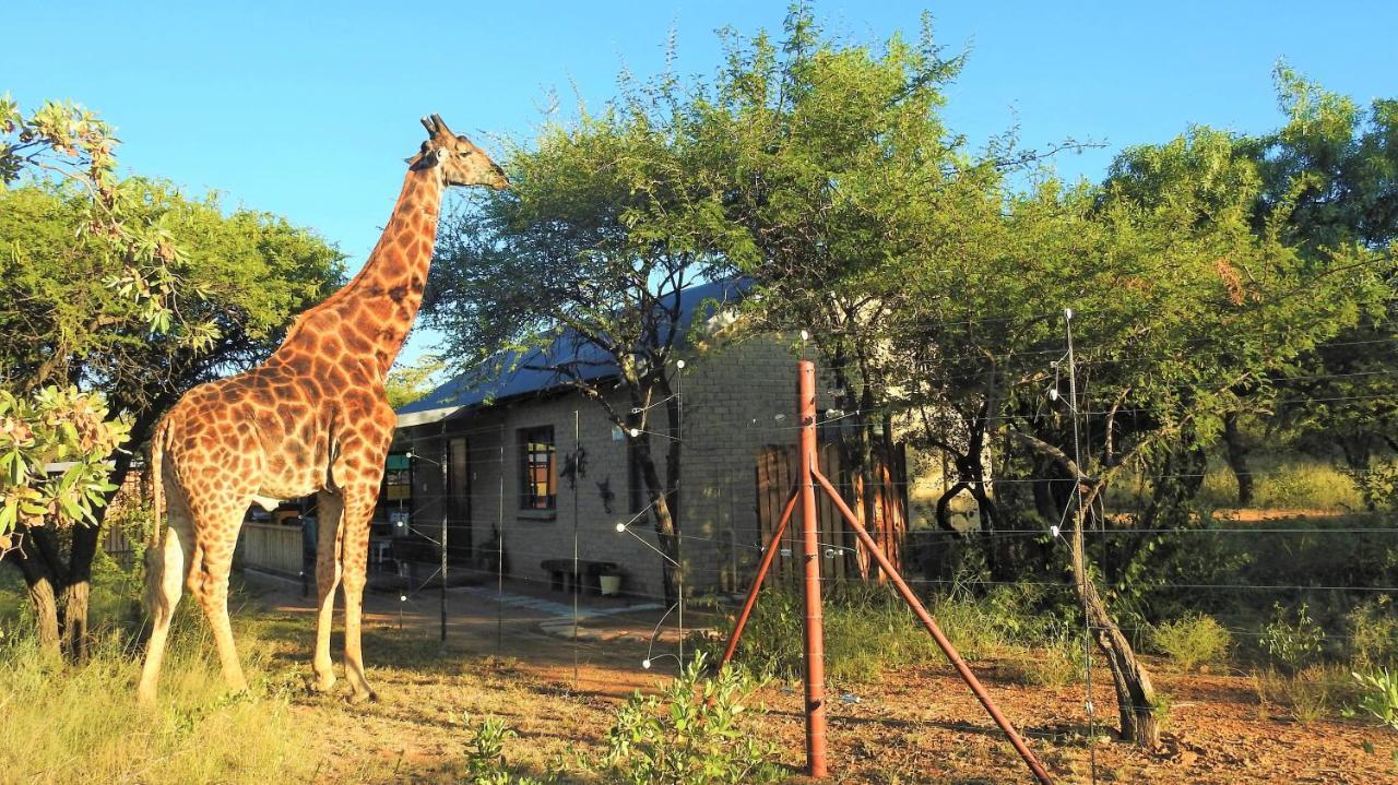 Marulani Bush Lodge Klipdrift Bagian luar foto