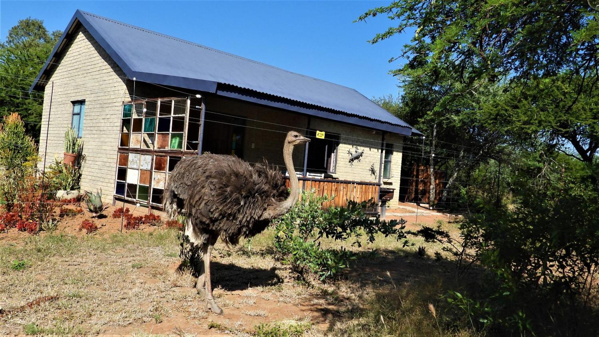 Marulani Bush Lodge Klipdrift Bagian luar foto